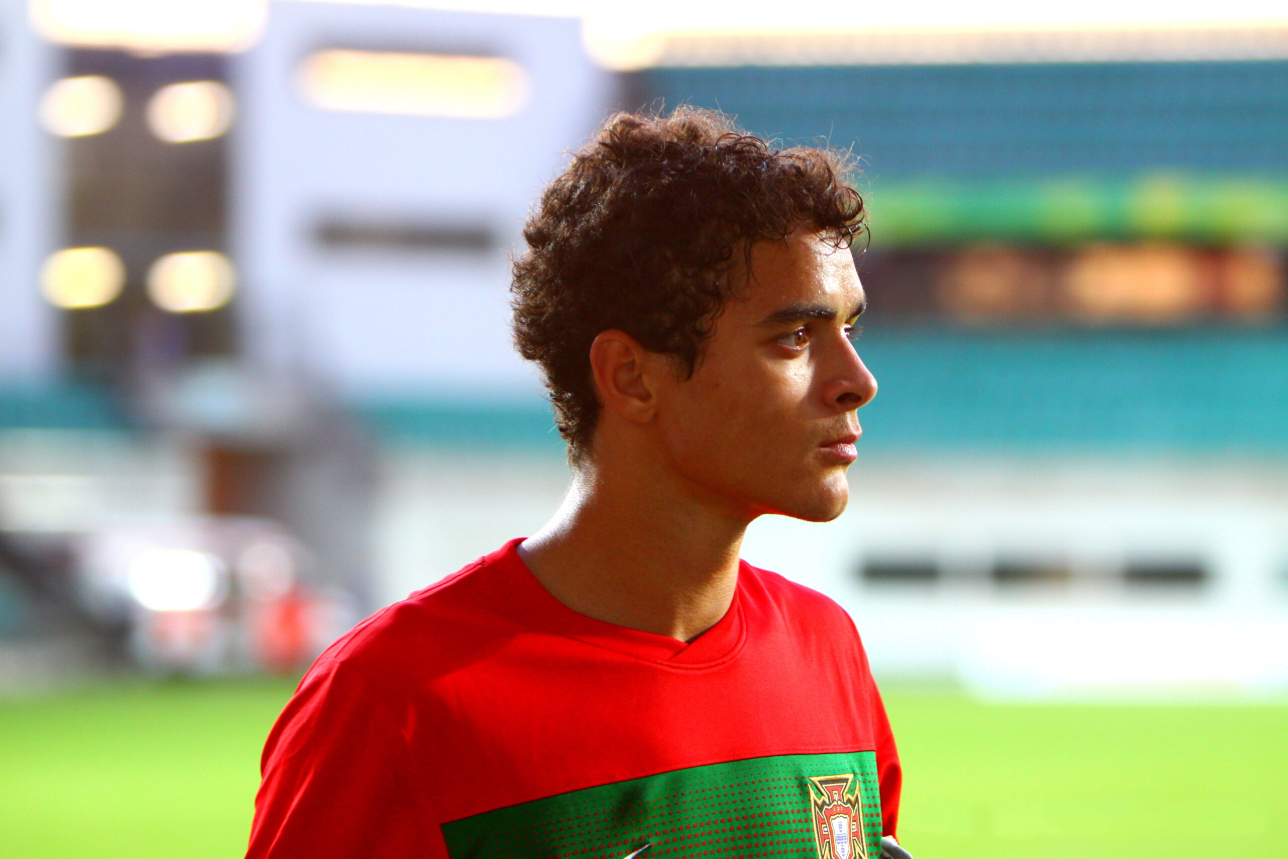 Tiago Ilori net worth