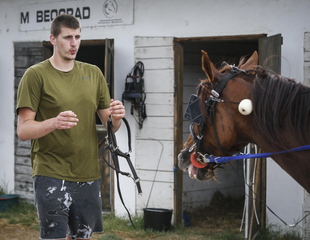 nikola jokic horses