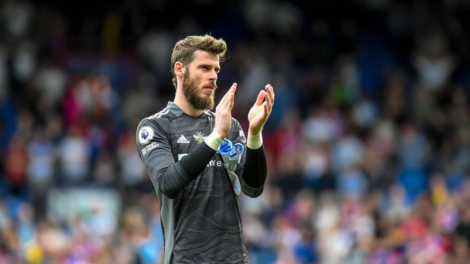 David de Gea