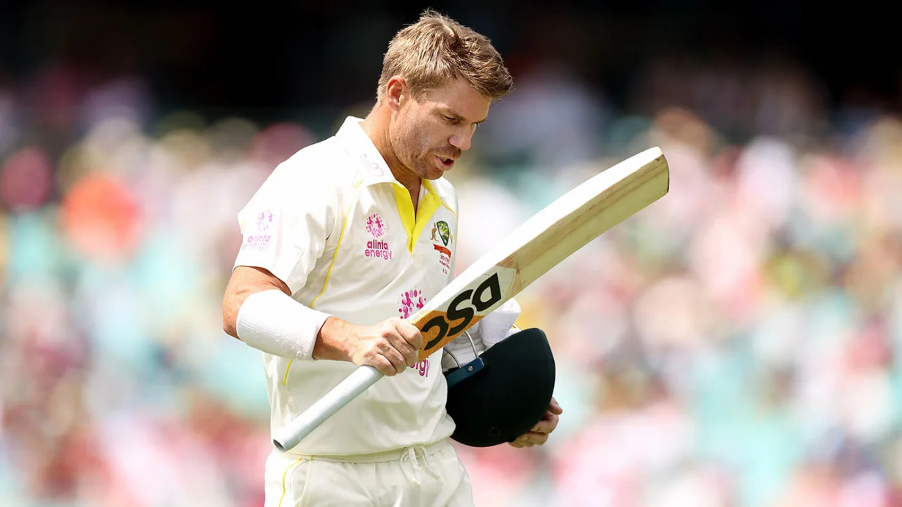 David Warner 