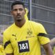 Sebastien Domain Haller