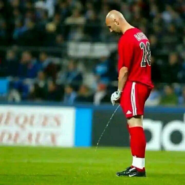 fabian barthez