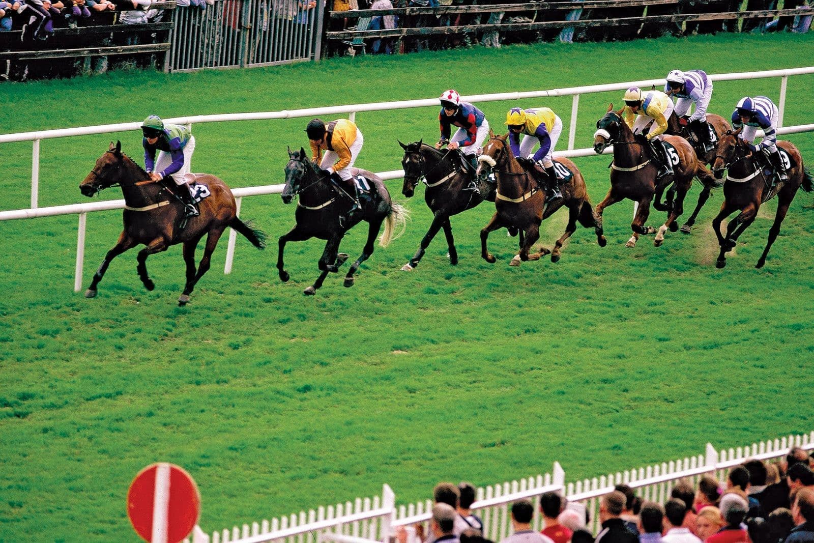 exciting sports for betting