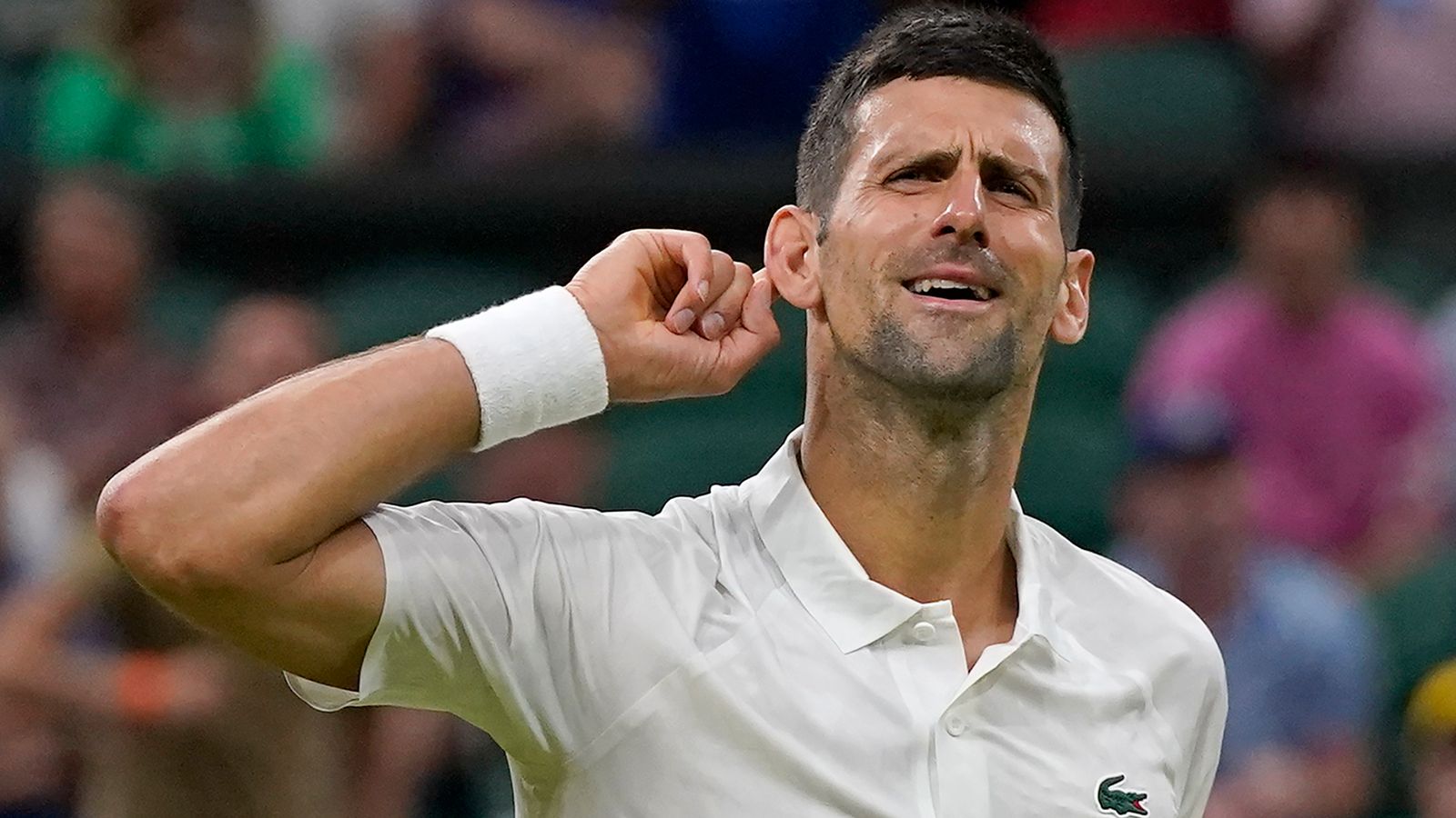 does novak djokovic spot competitor weakness