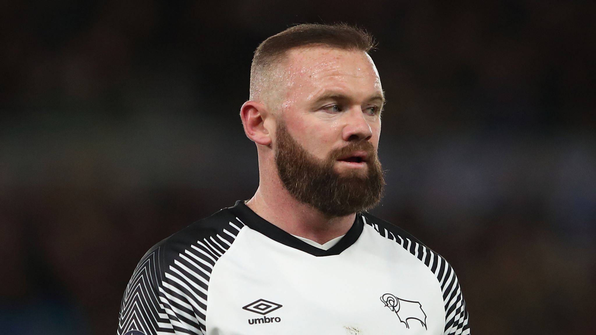 Wayne Rooney