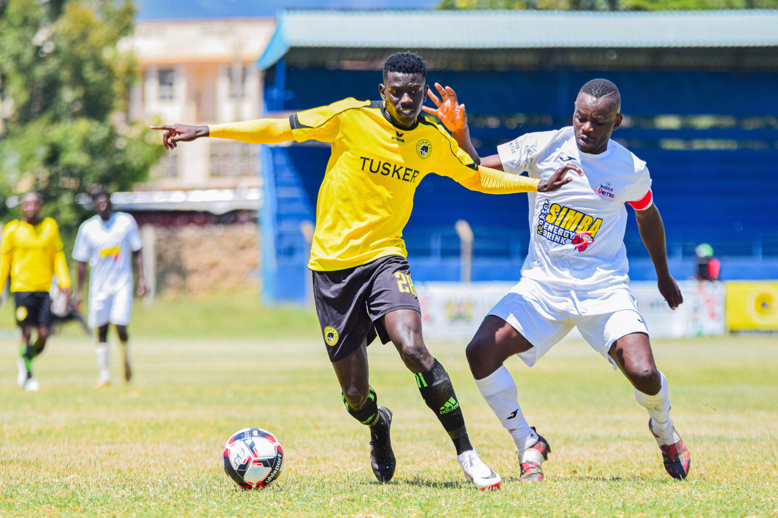Tusker