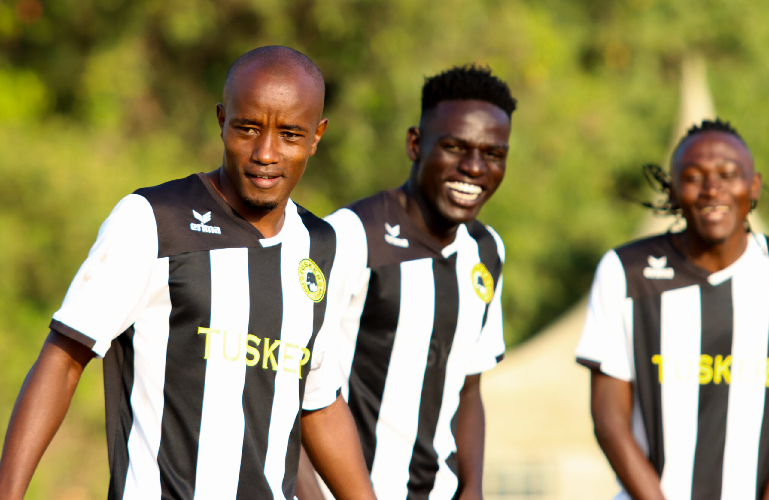 Tusker