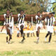 Tusker