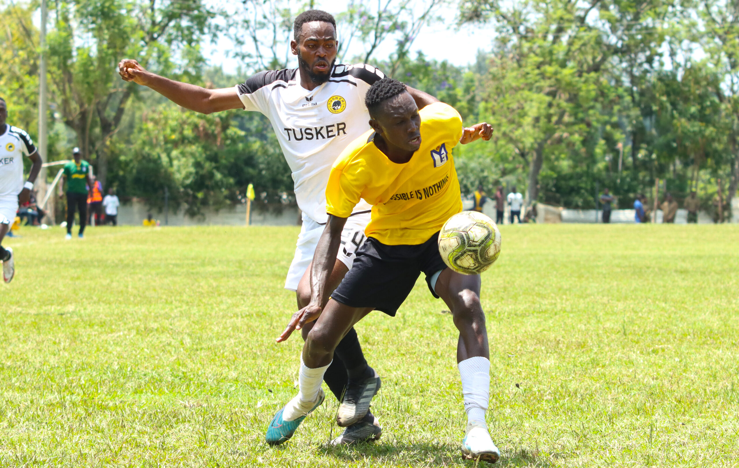 Tusker