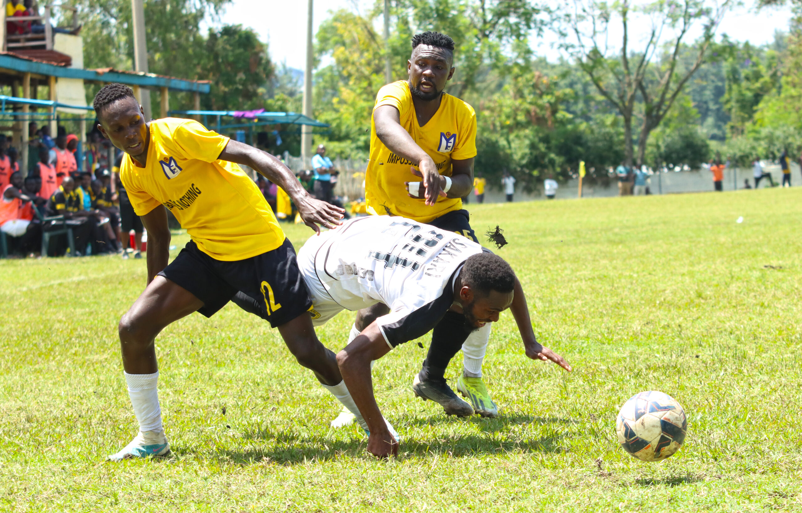 Tusker