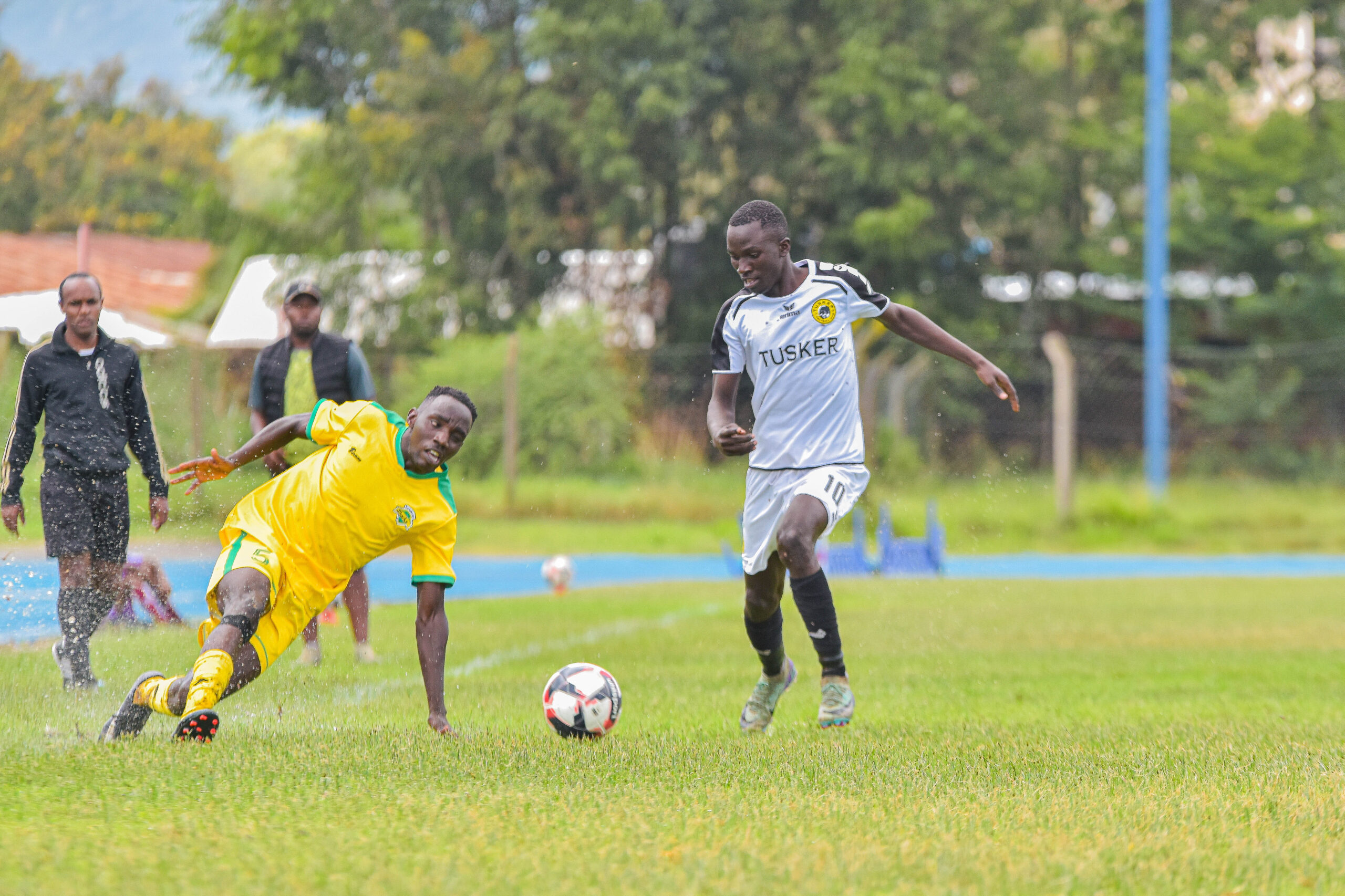Tusker