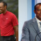 tiger woods hair transplant
