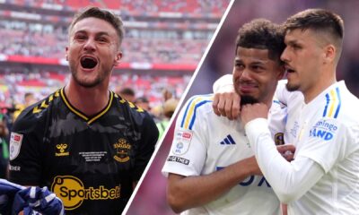 Southampton promotion to Premier League
